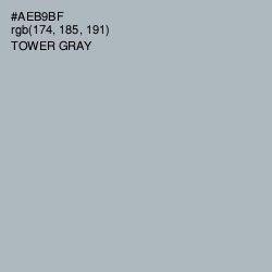 #AEB9BF - Tower Gray Color Image